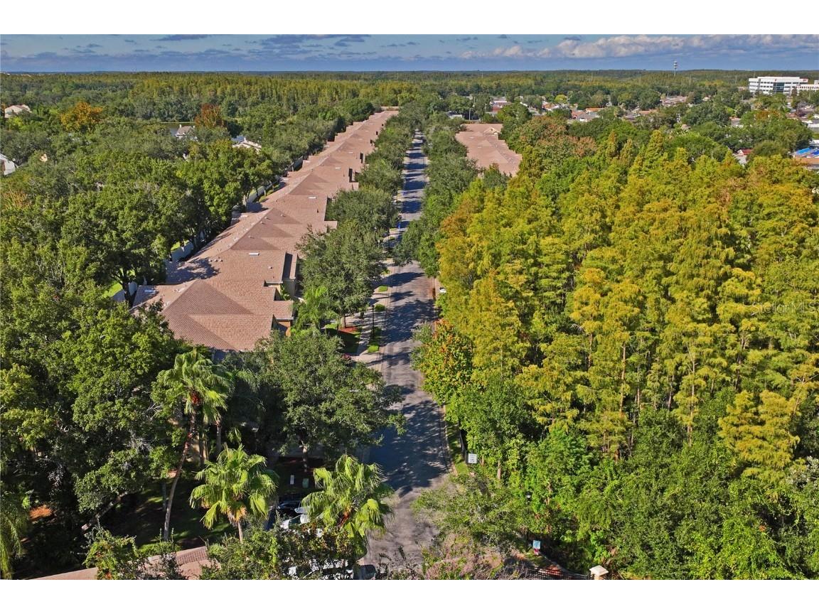 8412 Sandy Beach Street Tampa FL 33634 W7879080 image66