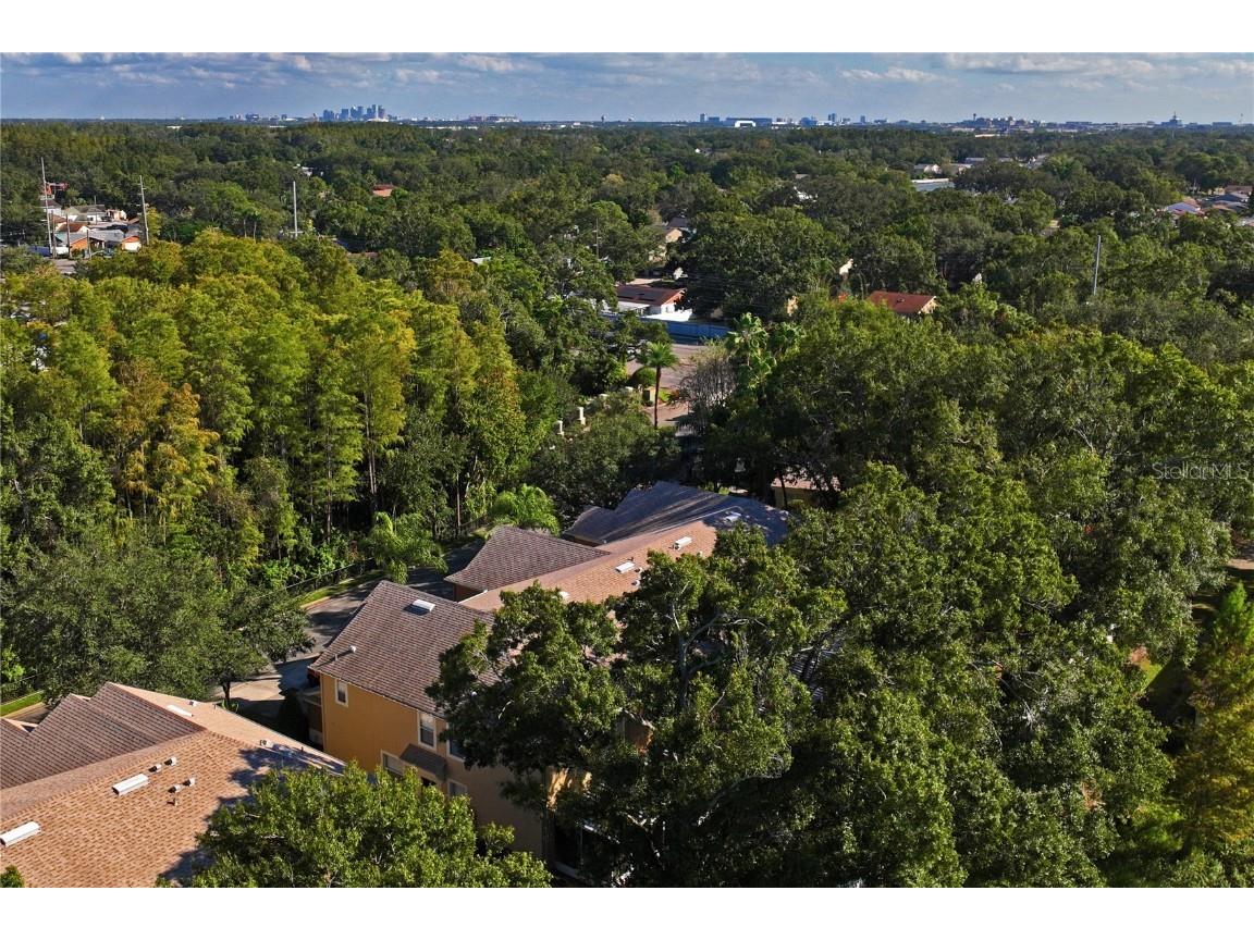 8412 Sandy Beach Street Tampa FL 33634 W7879080 image67