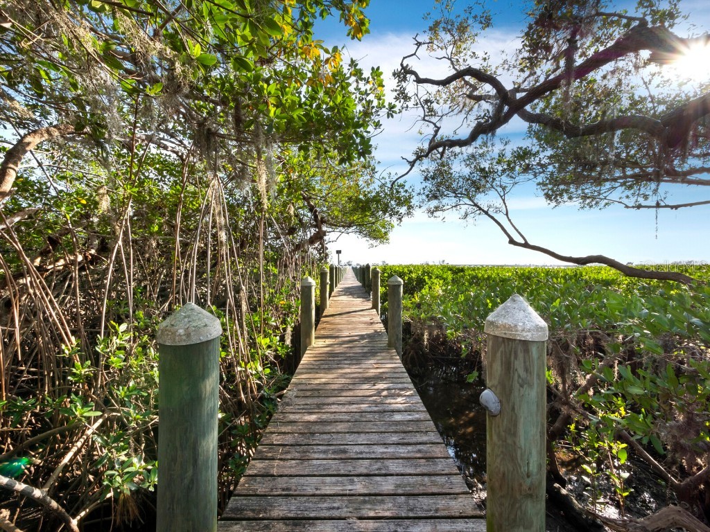 8413 9th Avenue NW Bradenton FL 34209 - PALMA SOLO BAY A4671608 image89