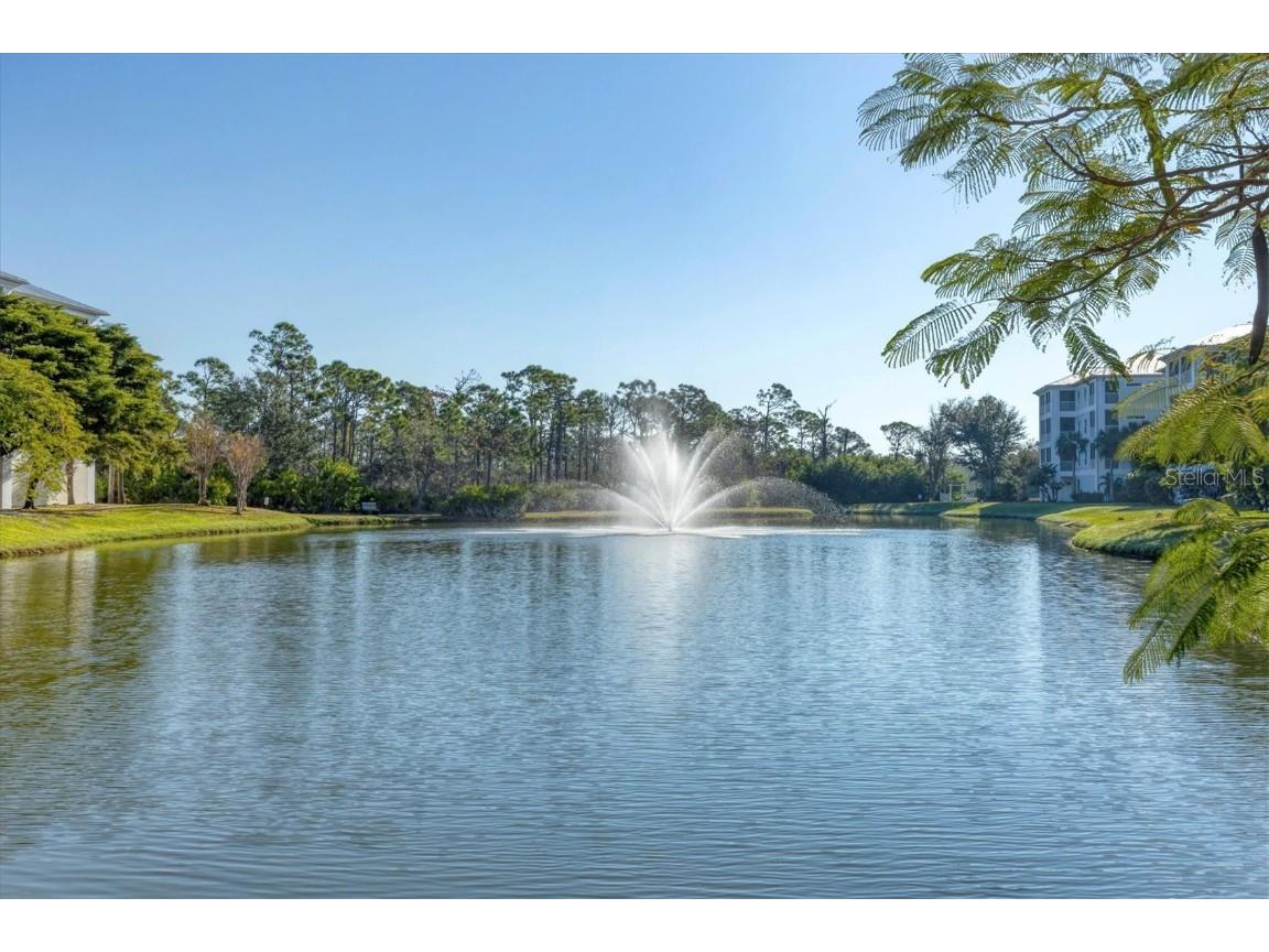 8413 Placida Road #407 Placida FL 33946 D6144814 image51