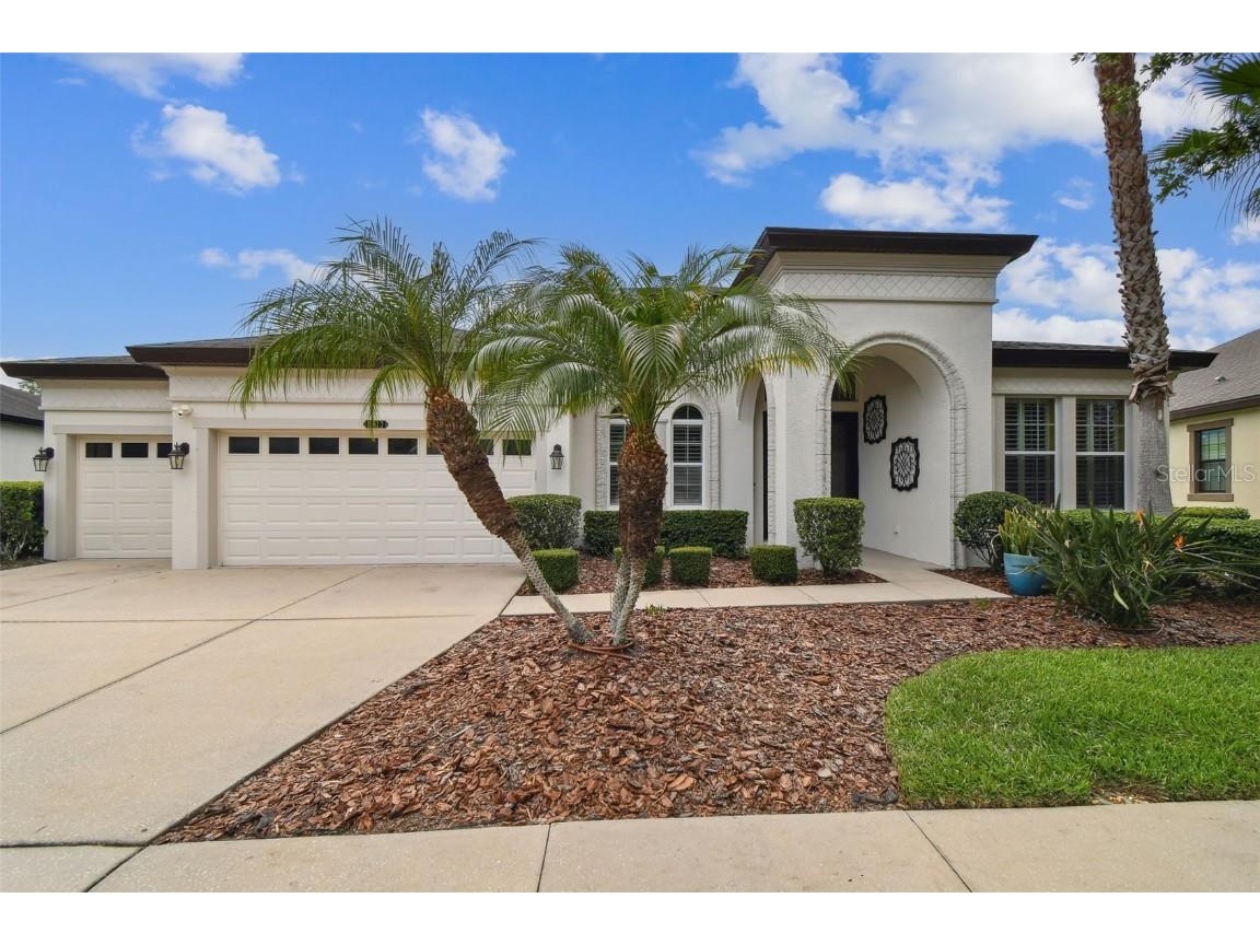 8413 Swiss Chard Circle Land O Lakes FL 34637 TB8390230 image1