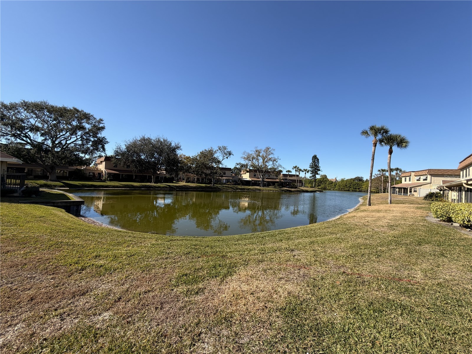 8414 17th Street N Saint Petersburg FL 33702 TB8479482 image9