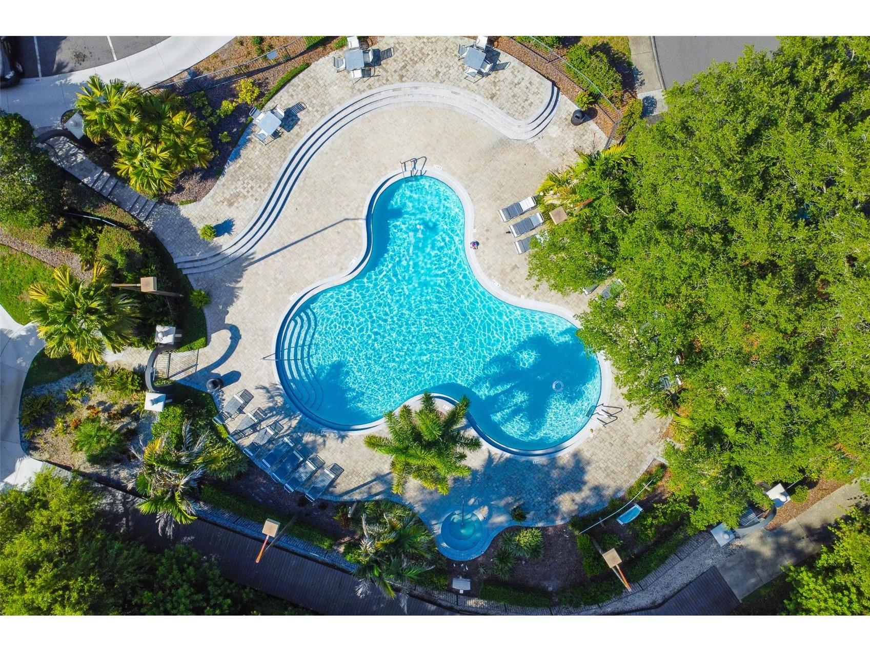 8414 Lucuya Way #201 Tampa FL 33637 TB8518314 image36