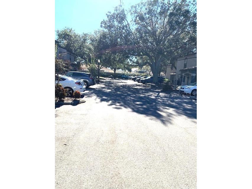 8414 Lucuya Way #308 Temple Terrace FL 33637 TB8511446 image25