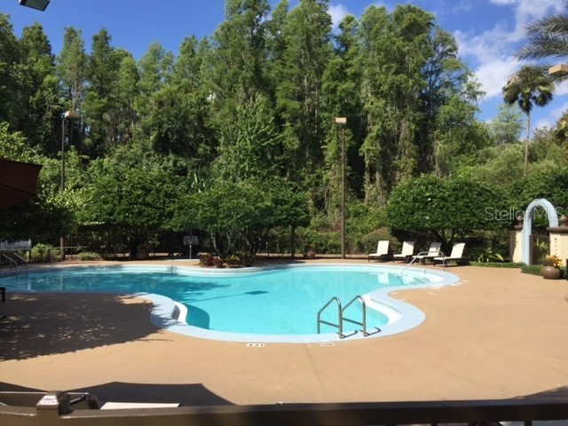 8414 Lucuya Way #308 Temple Terrace FL 33637 TB8511446 image28
