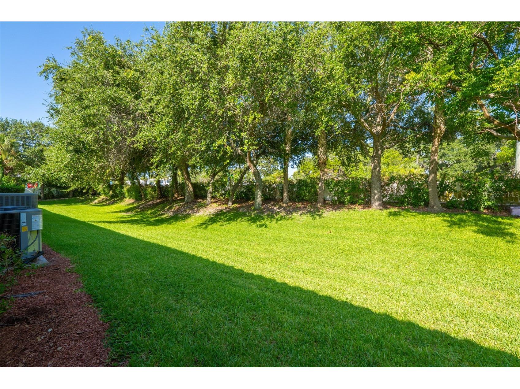 8414 Maria Court #5 Cape Canaveral FL 32920 O6421839 image43