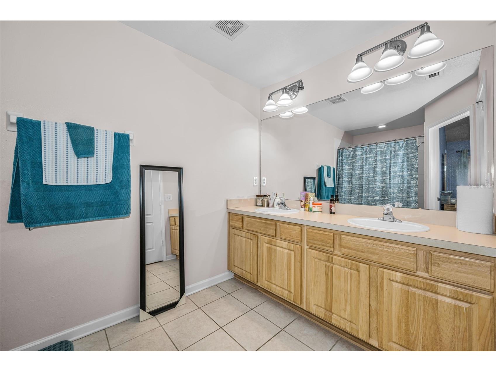 8414 Sandy Beach Street Tampa FL 33634 TB8523456 image16