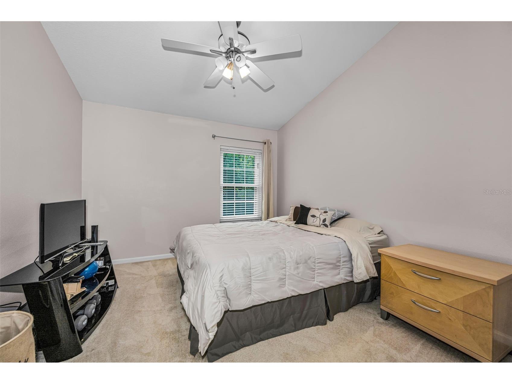 8414 Sandy Beach Street Tampa FL 33634 TB8523456 image17