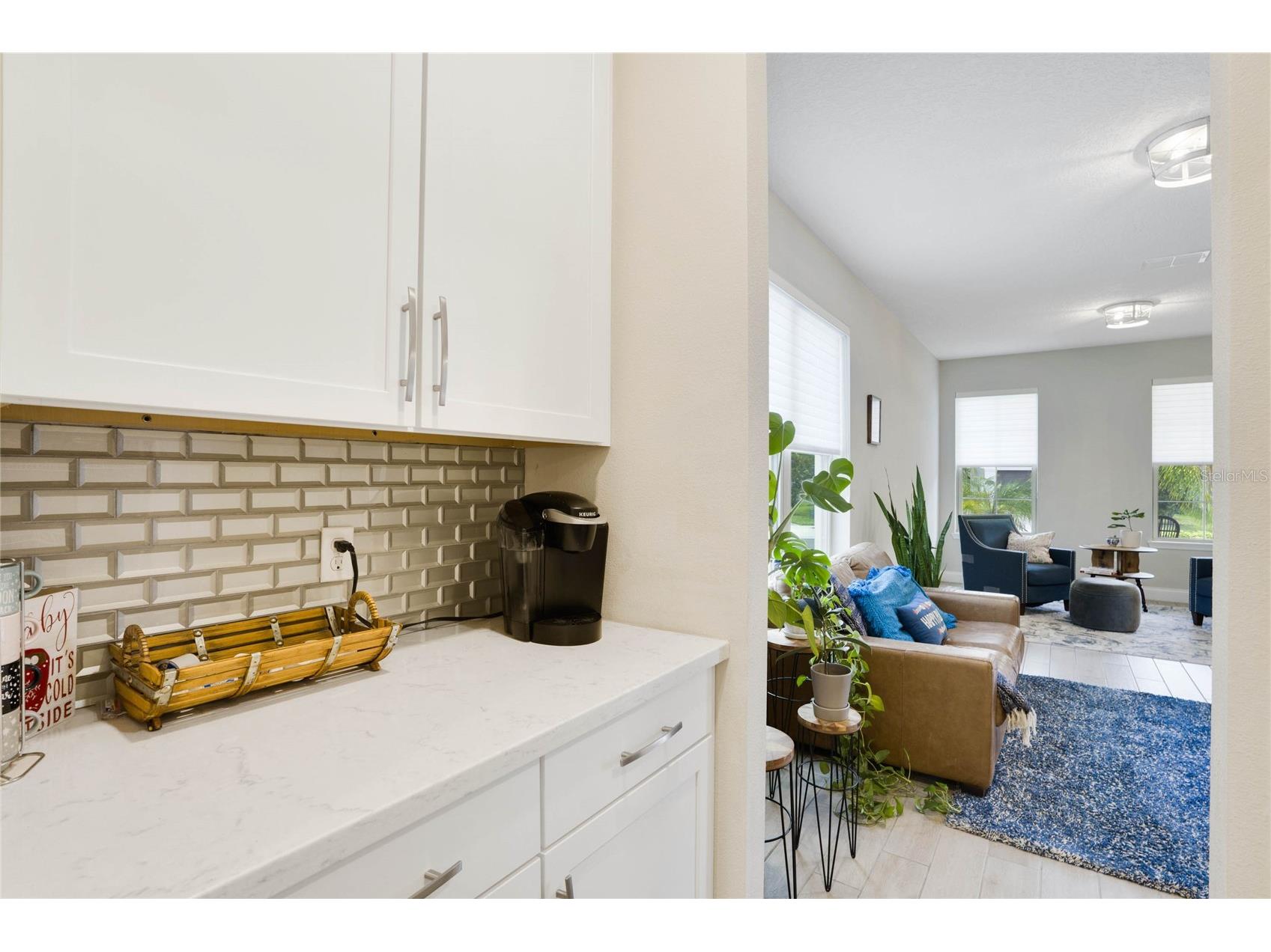 8414 Vivaro Isle Way Windermere FL 34786 O6397114 image15