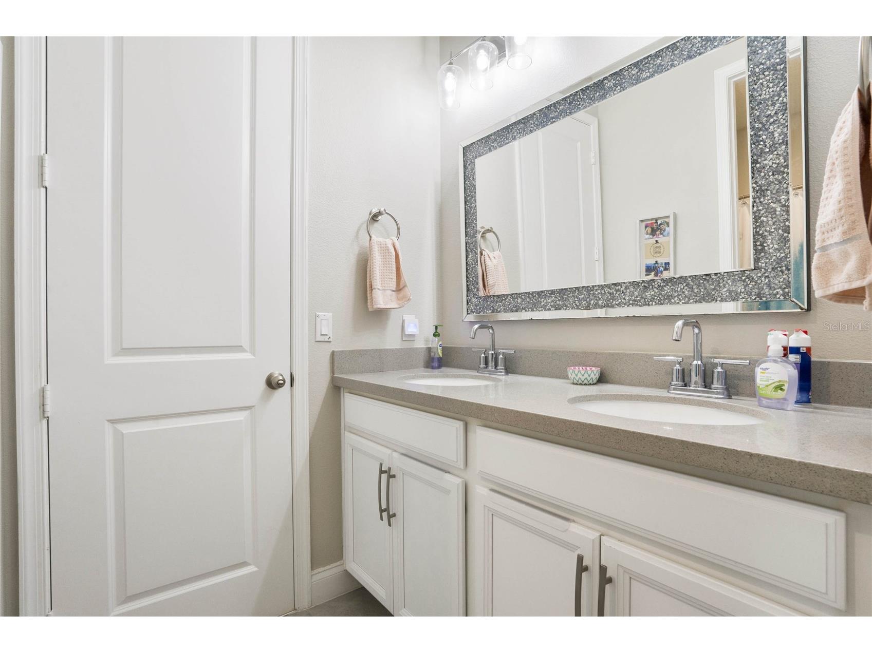 8414 Vivaro Isle Way Windermere FL 34786 O6397114 image35