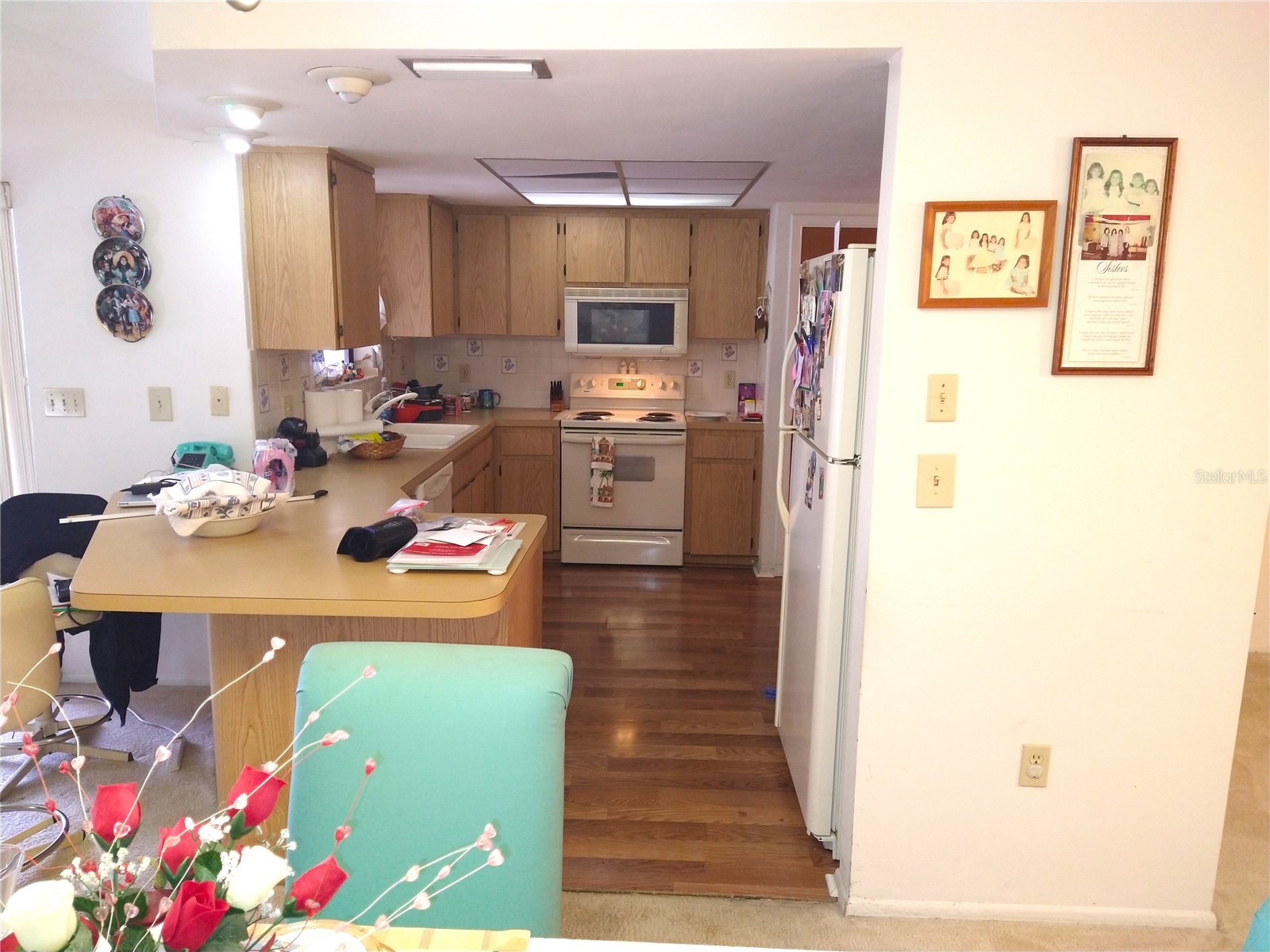 8415 Briarleaf Court Port Richey FL 34668 W7882036 image8