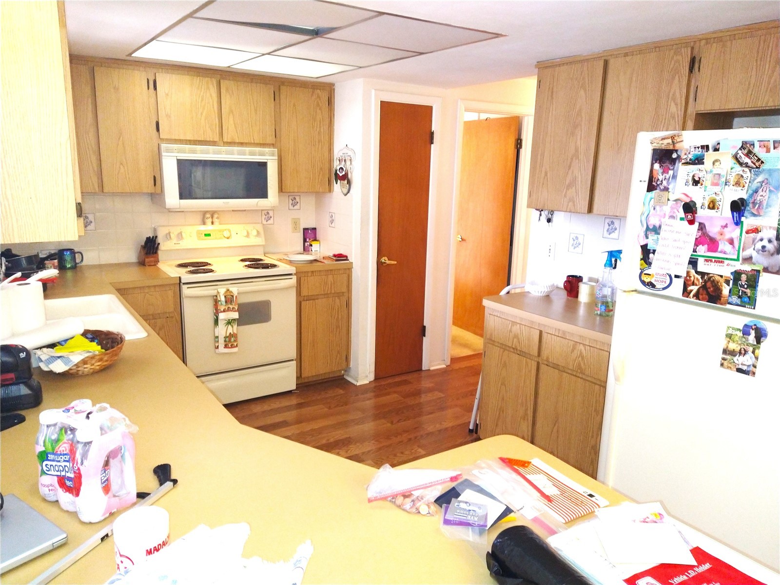 8415 Briarleaf Court Port Richey FL 34668 W7882036 image9