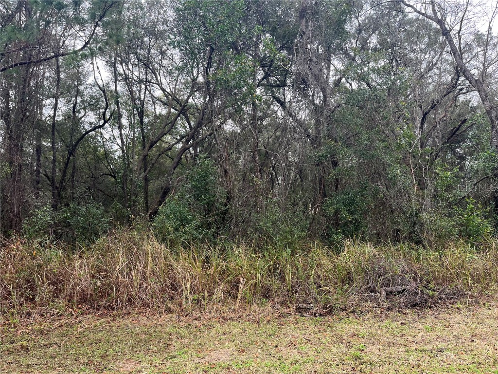 8415 N Sarazen Drive Citrus Springs FL 34434 T3498491 image1