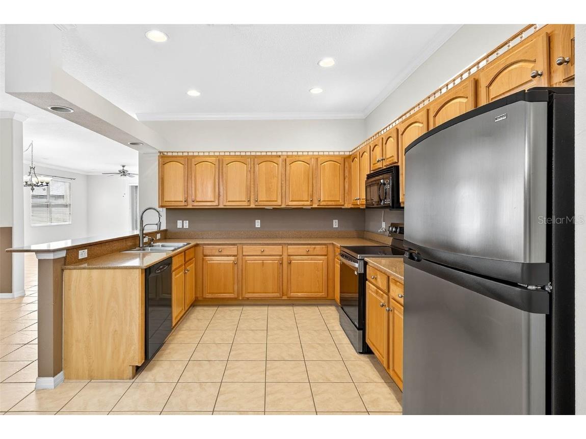 8415 Tarocco Court Land O Lakes FL 34637 TB8432672 image17