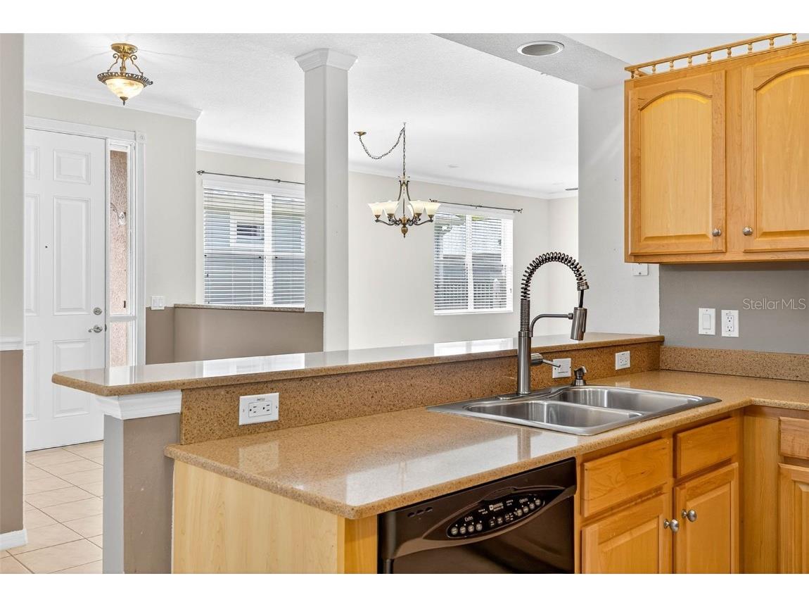 8415 Tarocco Court Land O Lakes FL 34637 TB8432672 image19