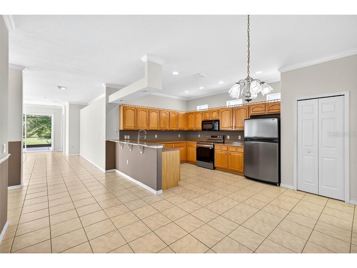 8415 Tarocco Court Land O Lakes FL 34637 TB8432672 image21