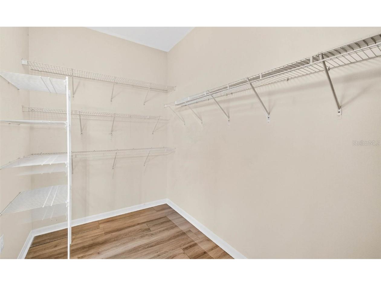 8415 Tarocco Court Land O Lakes FL 34637 TB8432672 image29