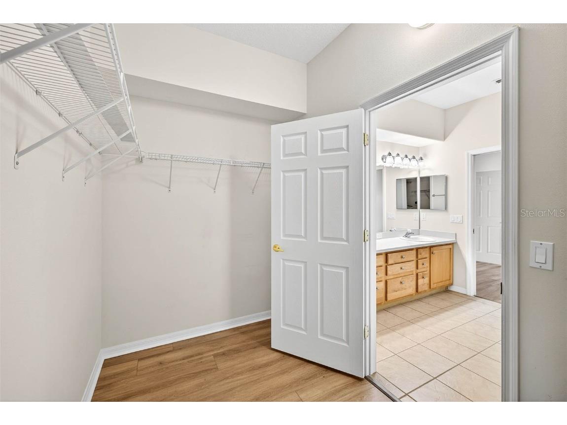 8415 Tarocco Court Land O Lakes FL 34637 TB8432672 image30