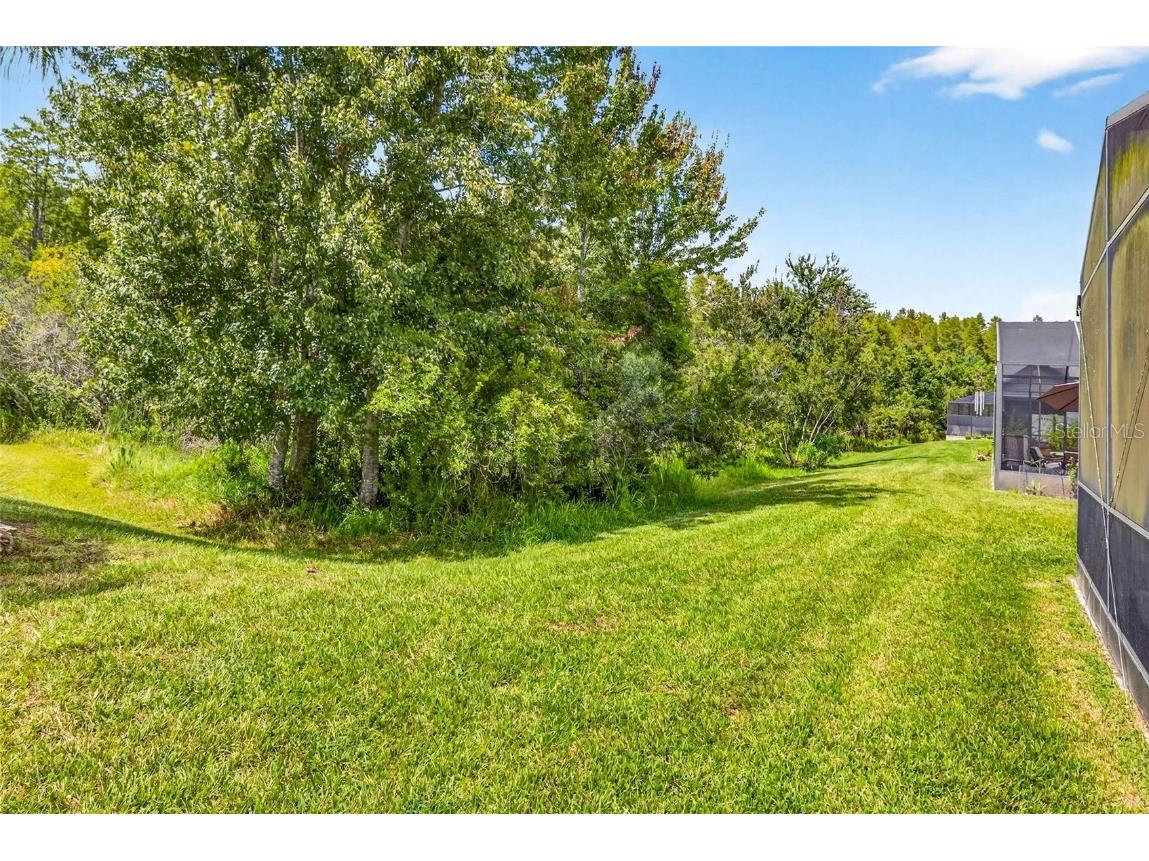 8415 Tarocco Court Land O Lakes FL 34637 TB8432672 image42