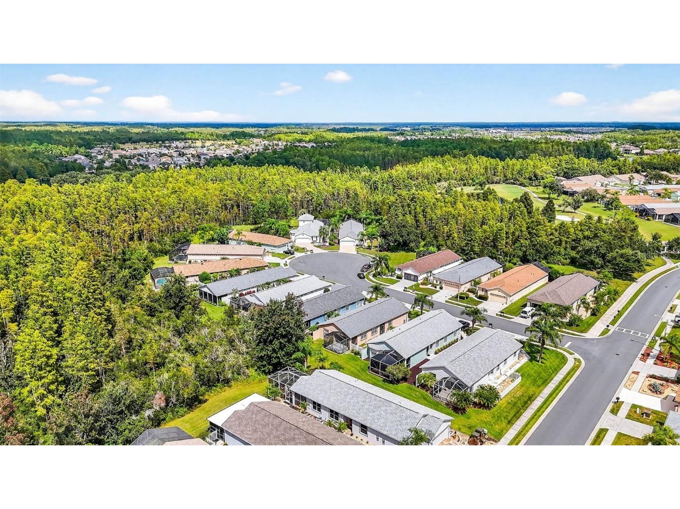 8415 Tarocco Court Land O Lakes FL 34637 TB8432672 image44