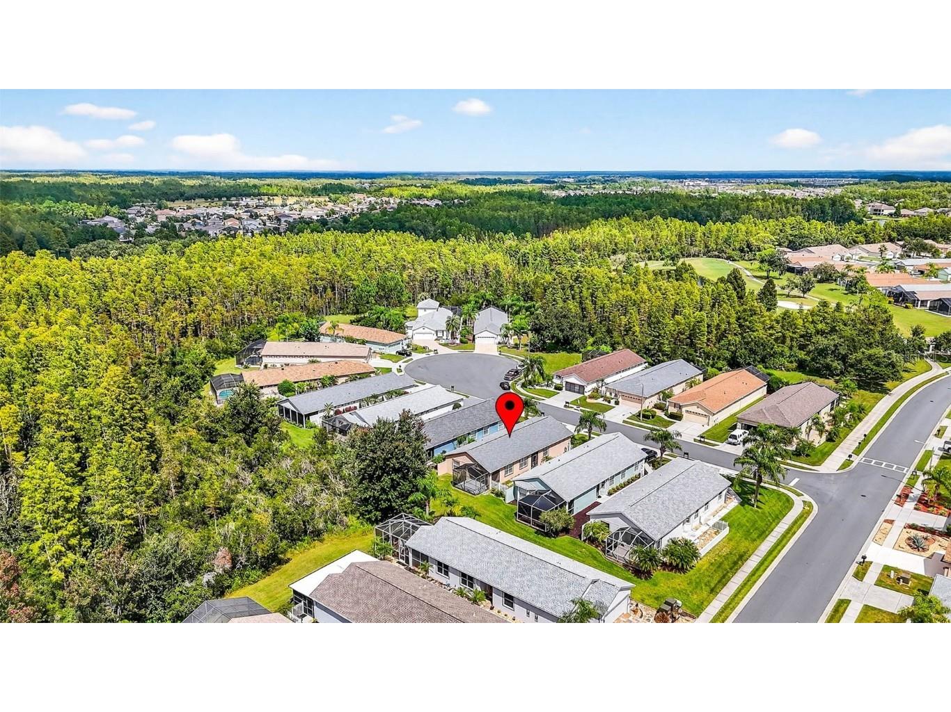 8415 Tarocco Court Land O Lakes FL 34637 TB8432672 image45