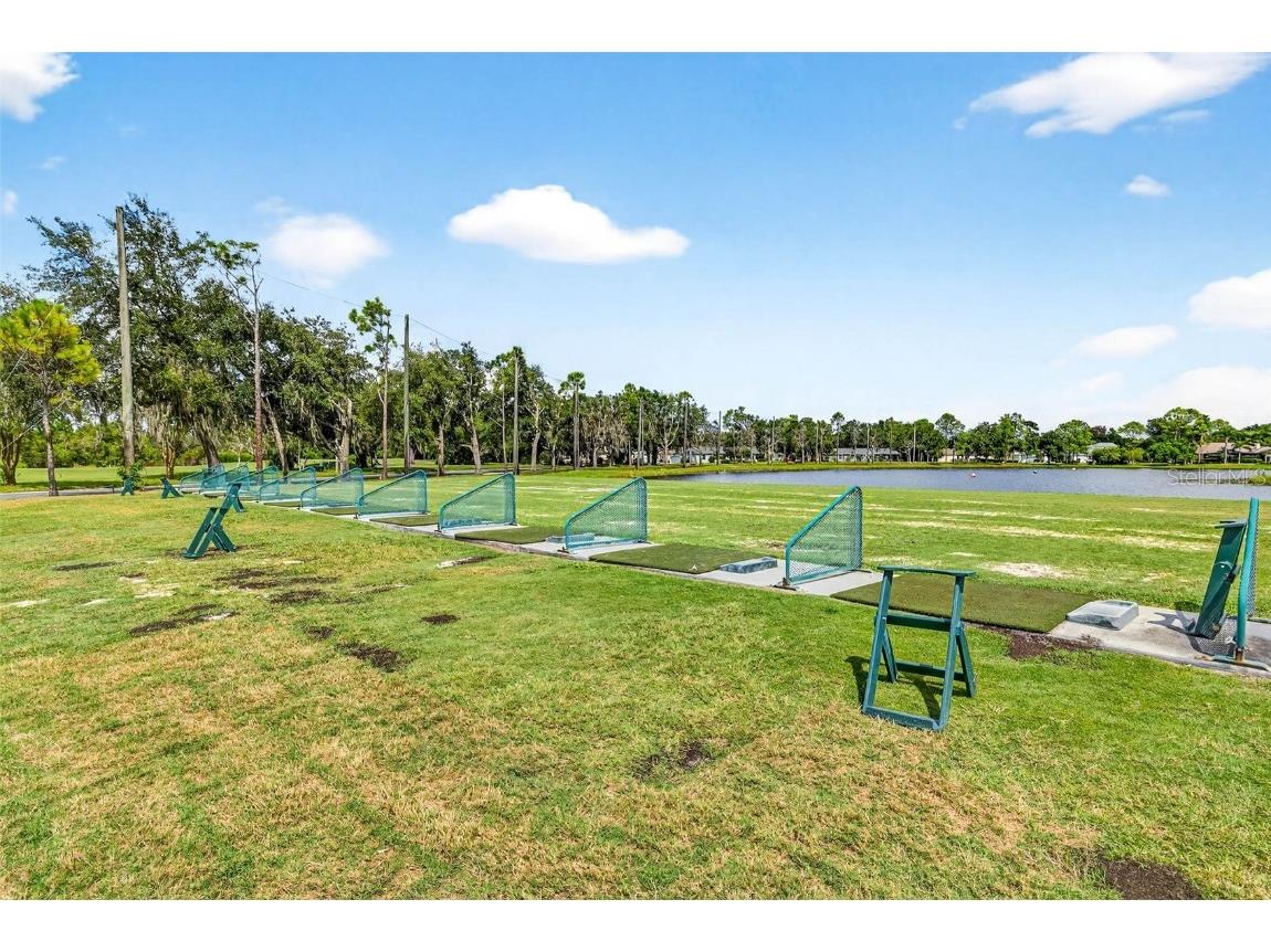 8415 Tarocco Court Land O Lakes FL 34637 TB8432672 image47