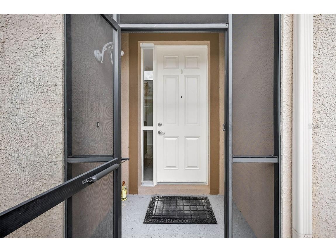 8415 Tarocco Court Land O Lakes FL 34637 TB8432672 image5