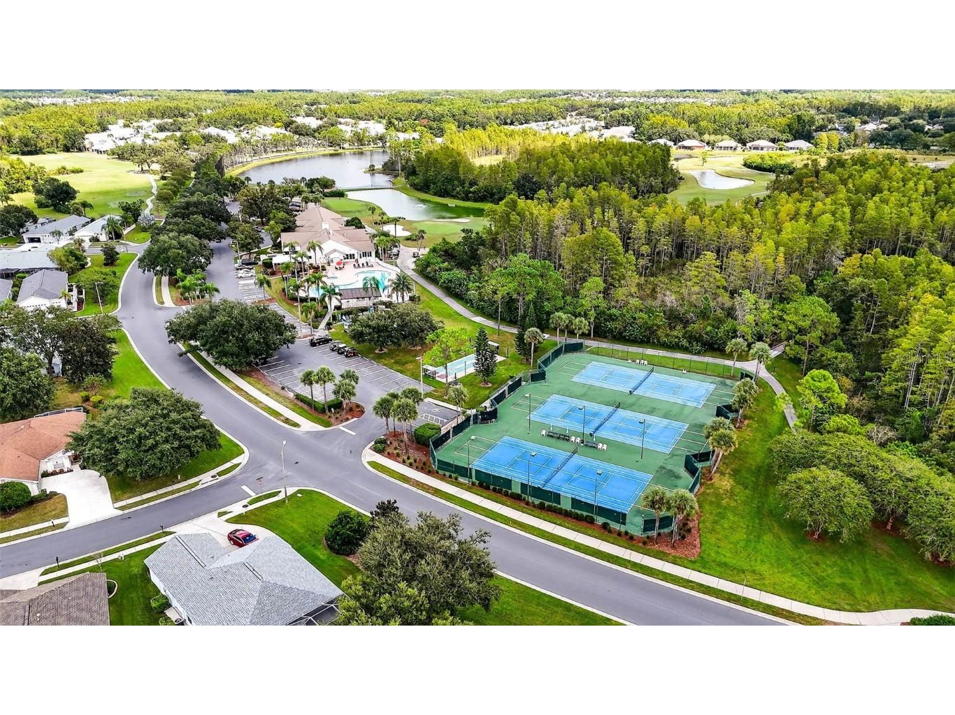 8415 Tarocco Court Land O Lakes FL 34637 TB8432672 image50