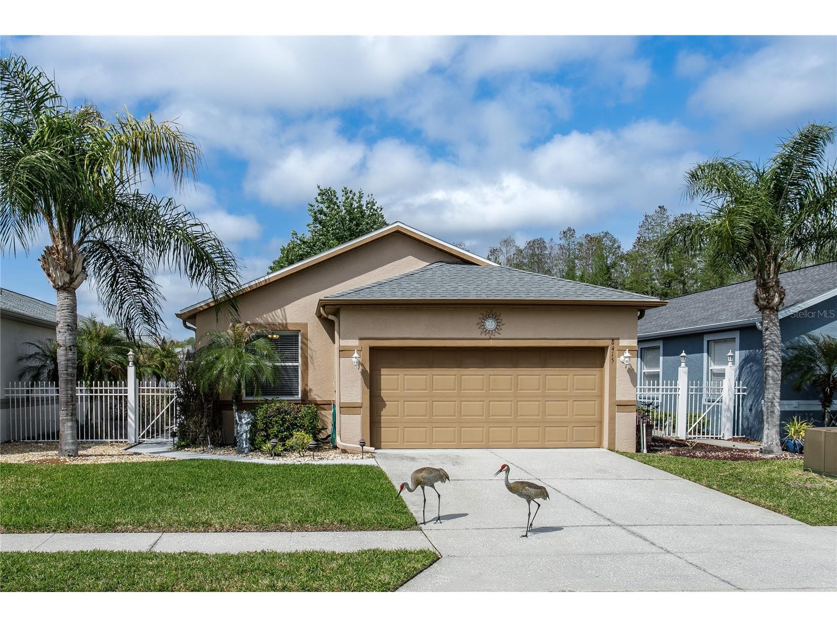 8415 Tarocco Court Land O Lakes FL 34637 TB8489308 image1