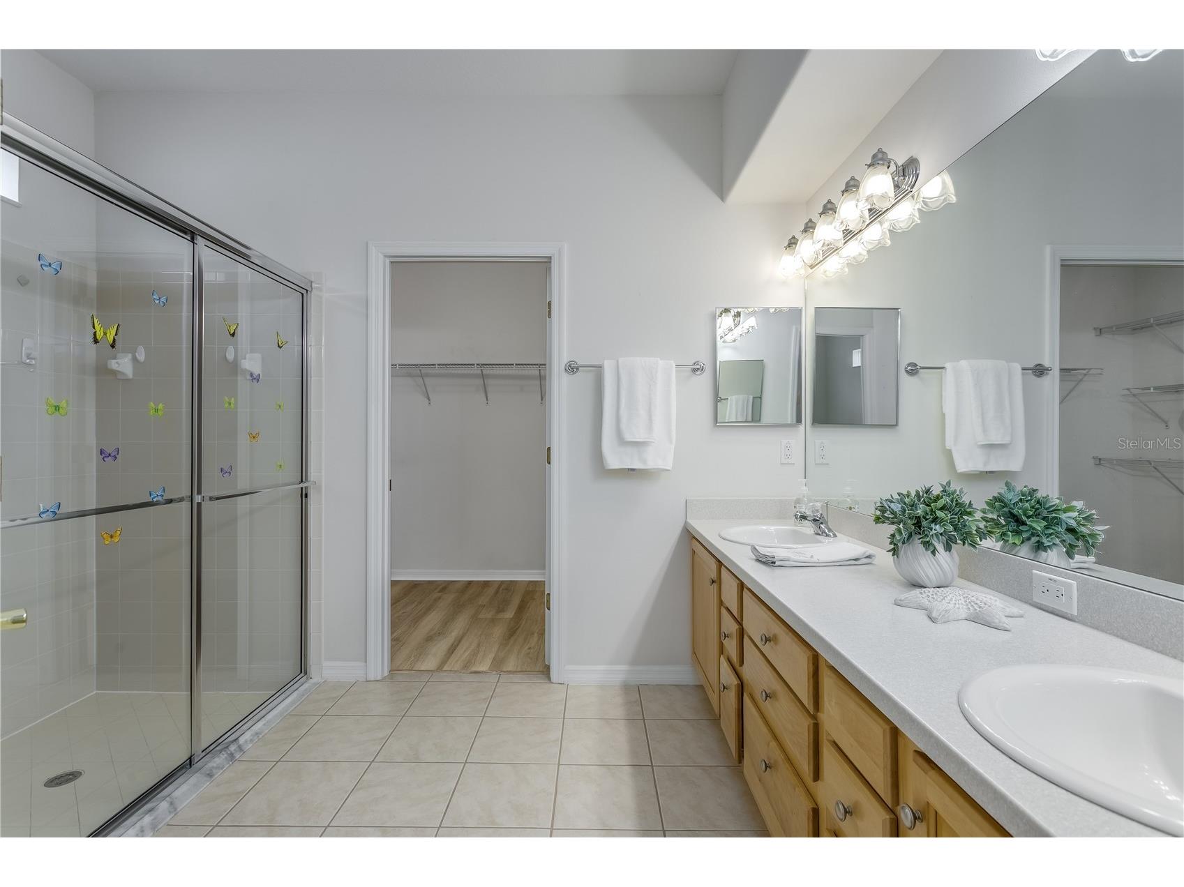 8415 Tarocco Court Land O Lakes FL 34637 TB8489308 image11