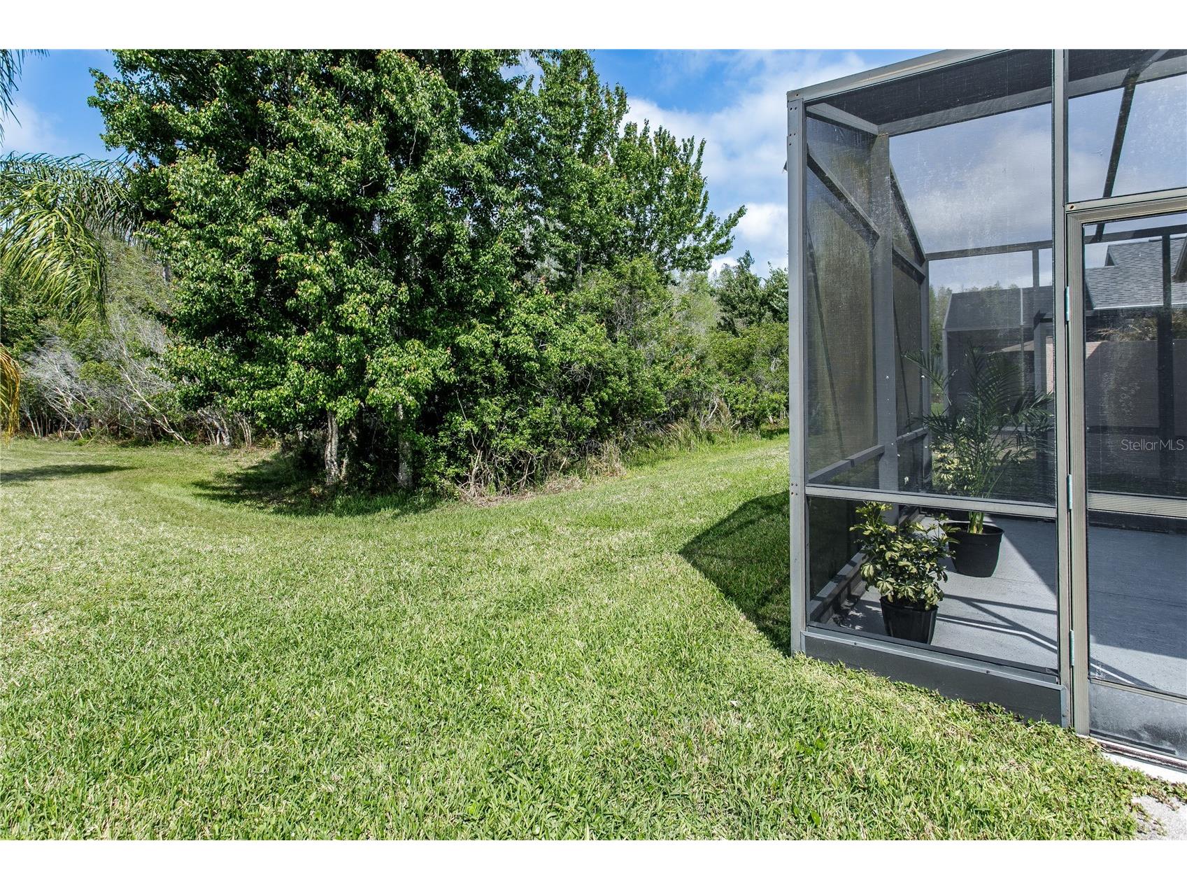8415 Tarocco Court Land O Lakes FL 34637 TB8489308 image13