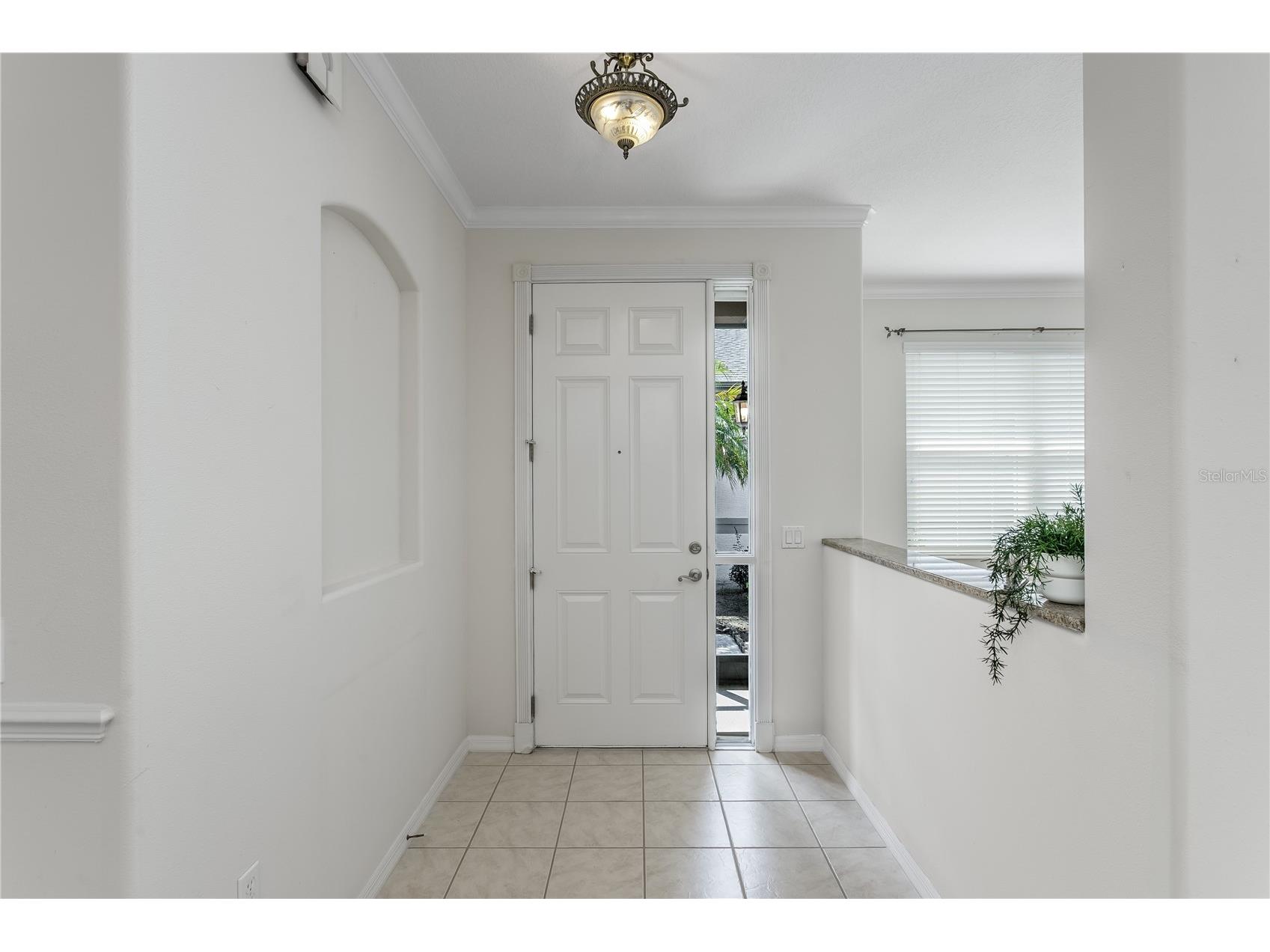 8415 Tarocco Court Land O Lakes FL 34637 TB8489308 image14