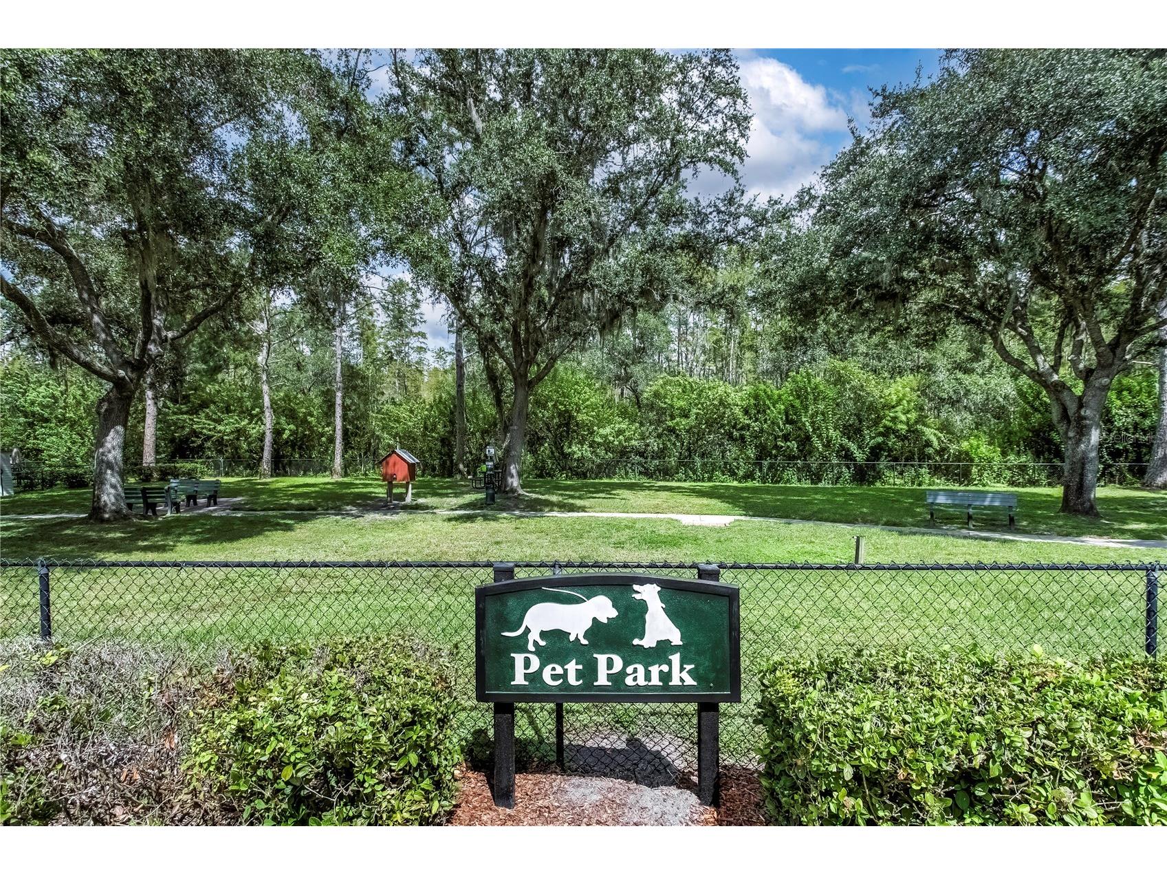 8415 Tarocco Court Land O Lakes FL 34637 TB8489308 image30