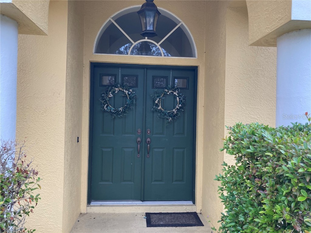 8416 Basuto Drive Trinity FL 34655 T3498800 image1