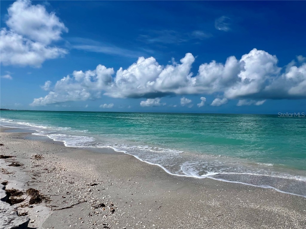 8416 Little Gasparilla Island Placida FL 33946 D6142945 image42