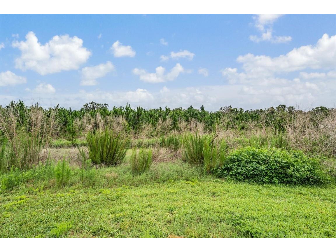 8417 Danbury Lane Hudson FL 34667 W7875571 image44