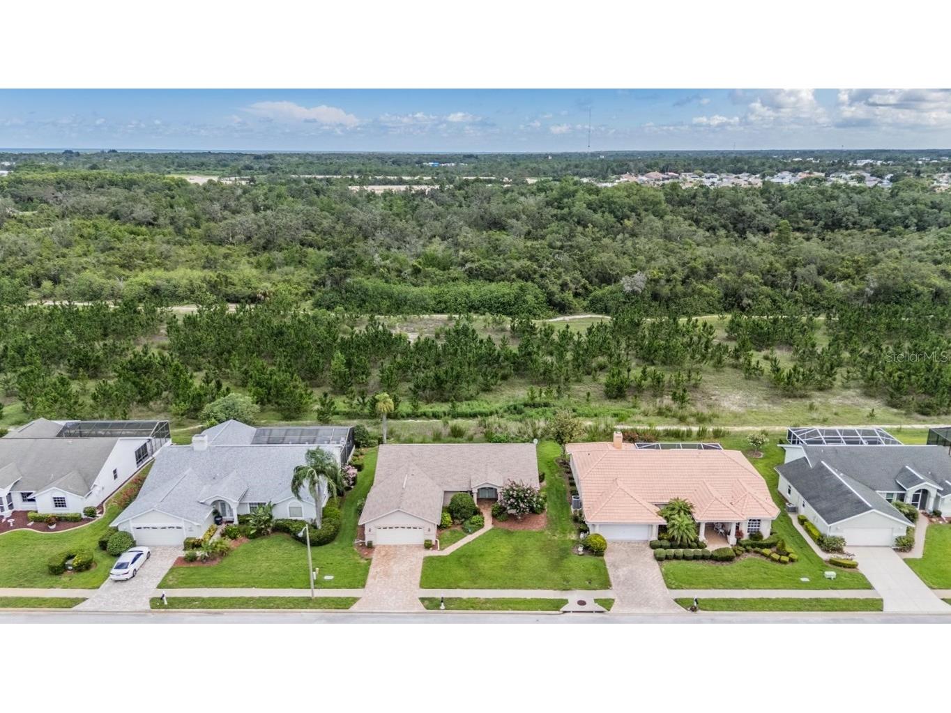 8417 Danbury Lane Hudson FL 34667 W7875571 image8