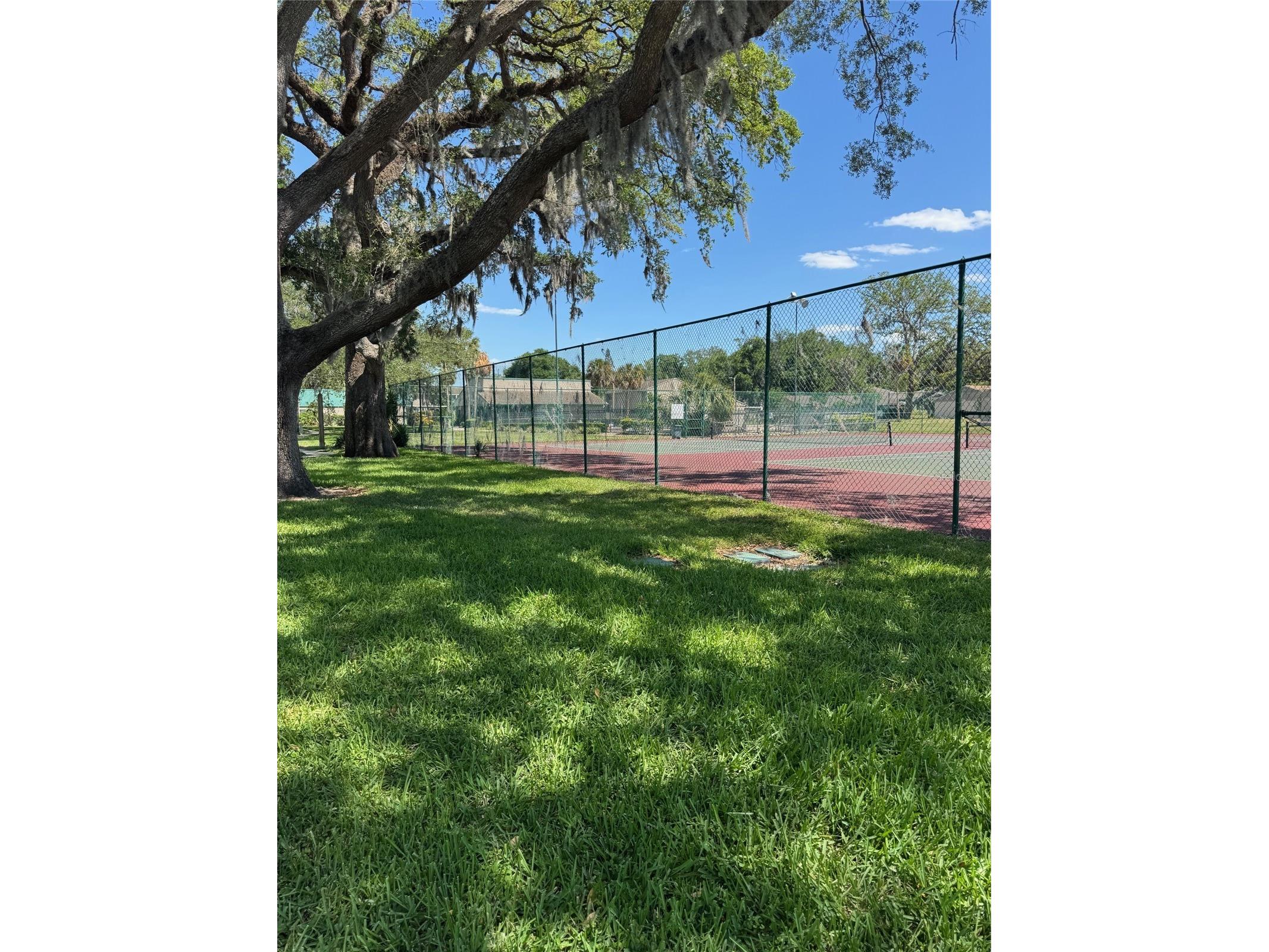 8418 Laurelon Place Temple Terrace FL 33637 TB8468727 image24