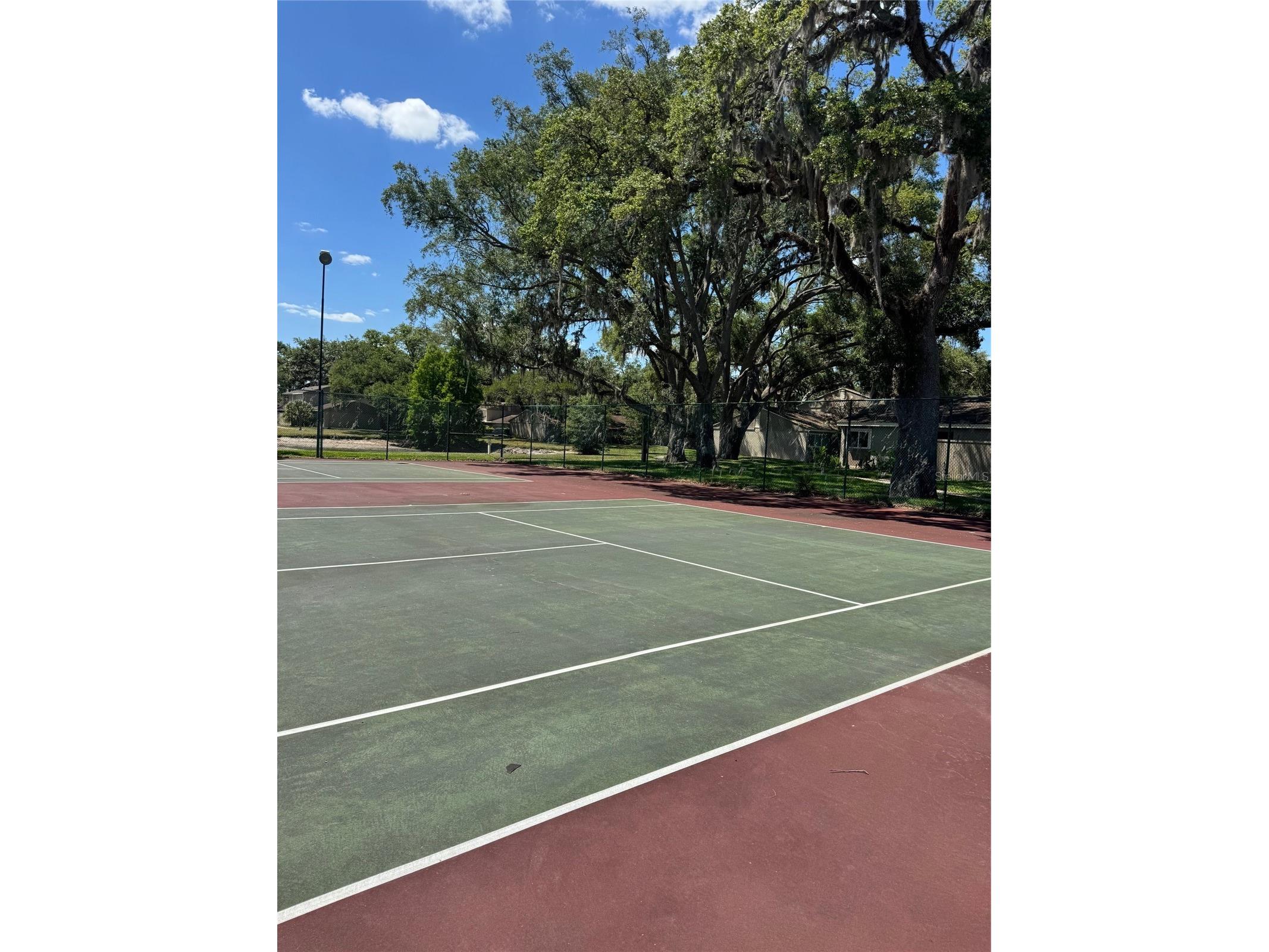 8418 Laurelon Place Temple Terrace FL 33637 TB8468727 image25