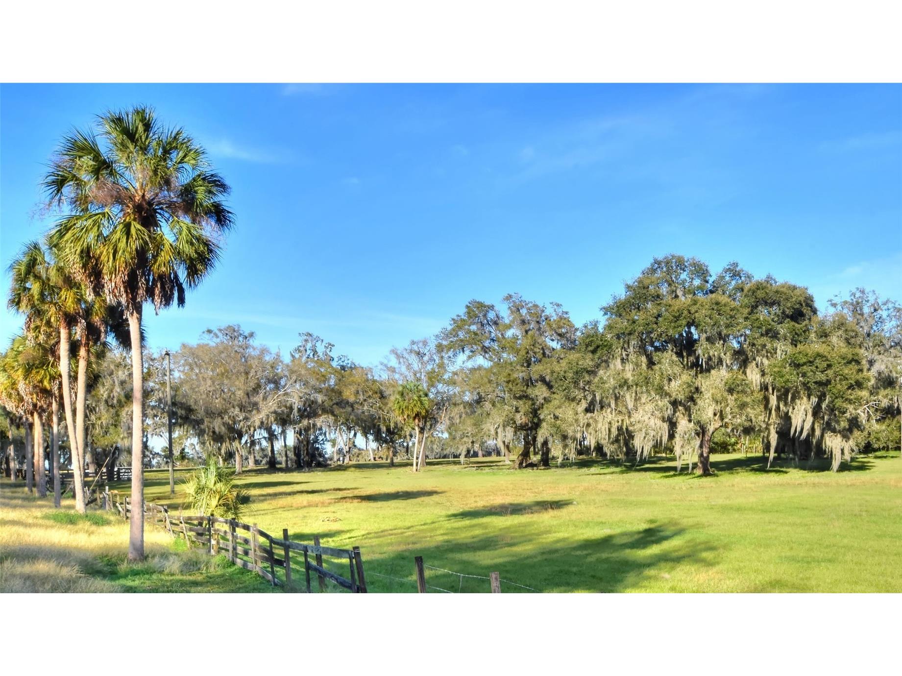 8418 Lupton Place Plant City FL 33567 T3504374 image1