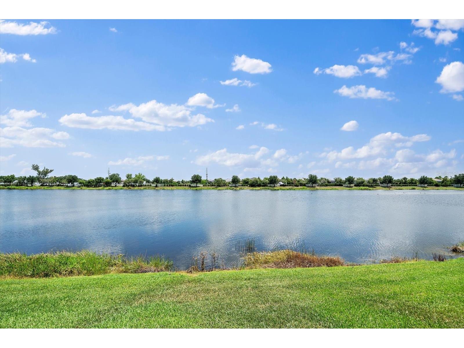 8418 Nandina Drive Sarasota FL 34240 A4697149 image44