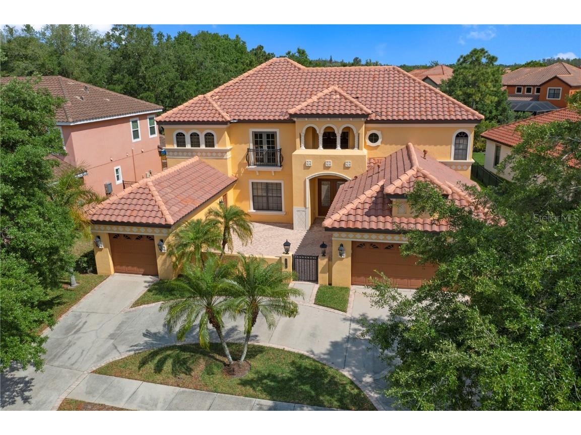 8419 Dunham Station Drive Tampa FL 33647 T3444855 image1