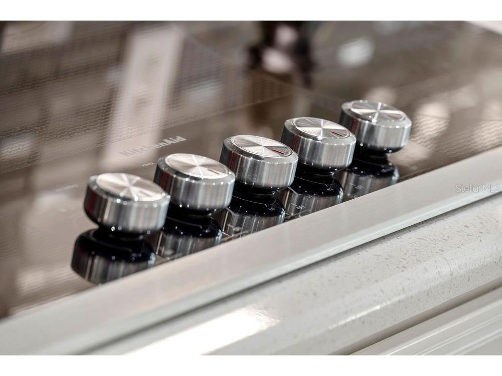 8419 Karwick Street Orlando FL 32836 O6341120 image34