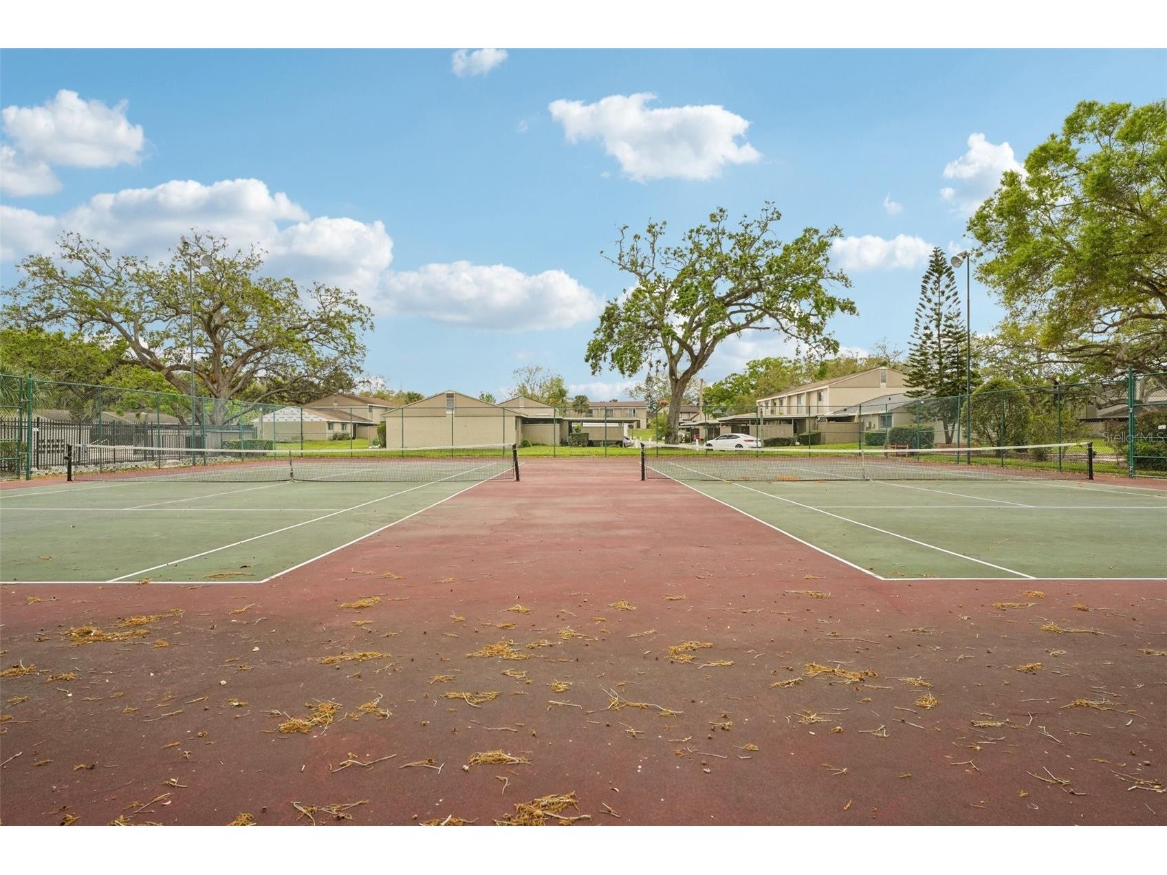 8419 Laurelon Place Temple Terrace FL 33637 TB8482048 image48