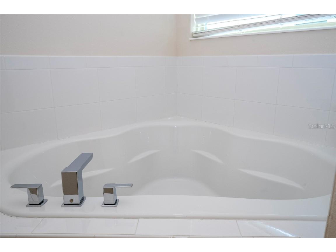 8419 Pippen Drive Orlando FL 32836 O6310847 image85