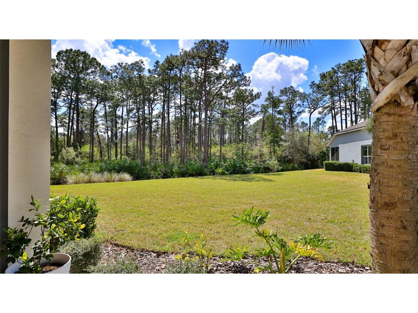 842 Aldenham Lane Ormond Beach FL 32174 O6285183 image5