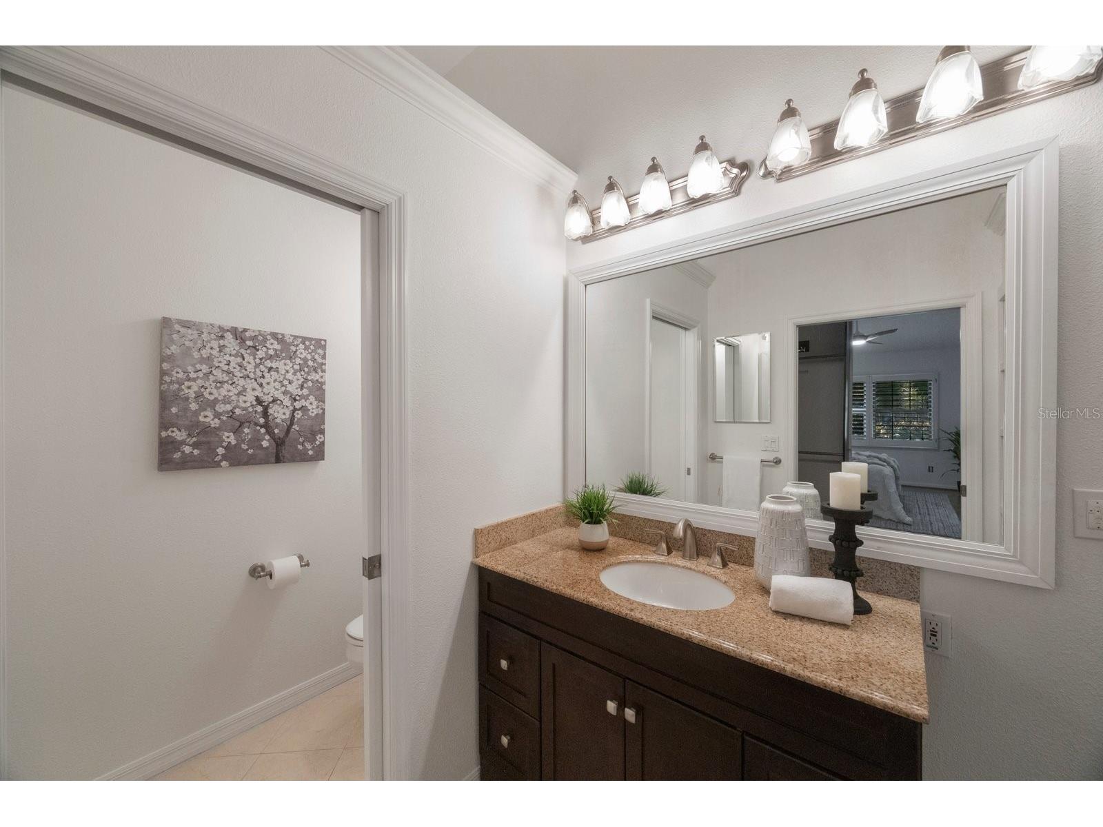 842 Amelia Court NE Saint Petersburg FL 33702 - RIVIERA BAY TAMPA BAY TB8453447 image23
