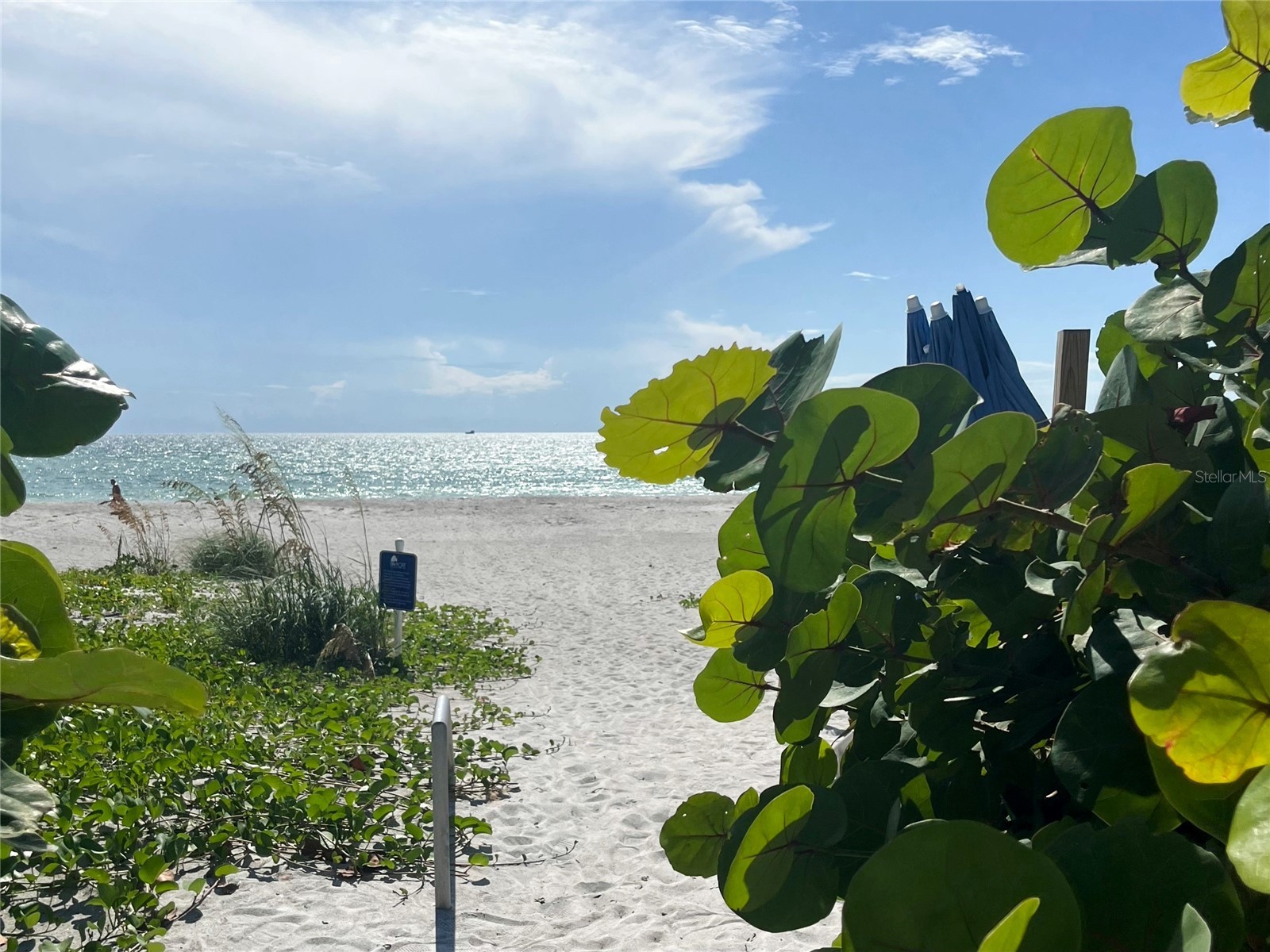 842 Bayport Way #842 Longboat Key FL 34228 A4687058 image52