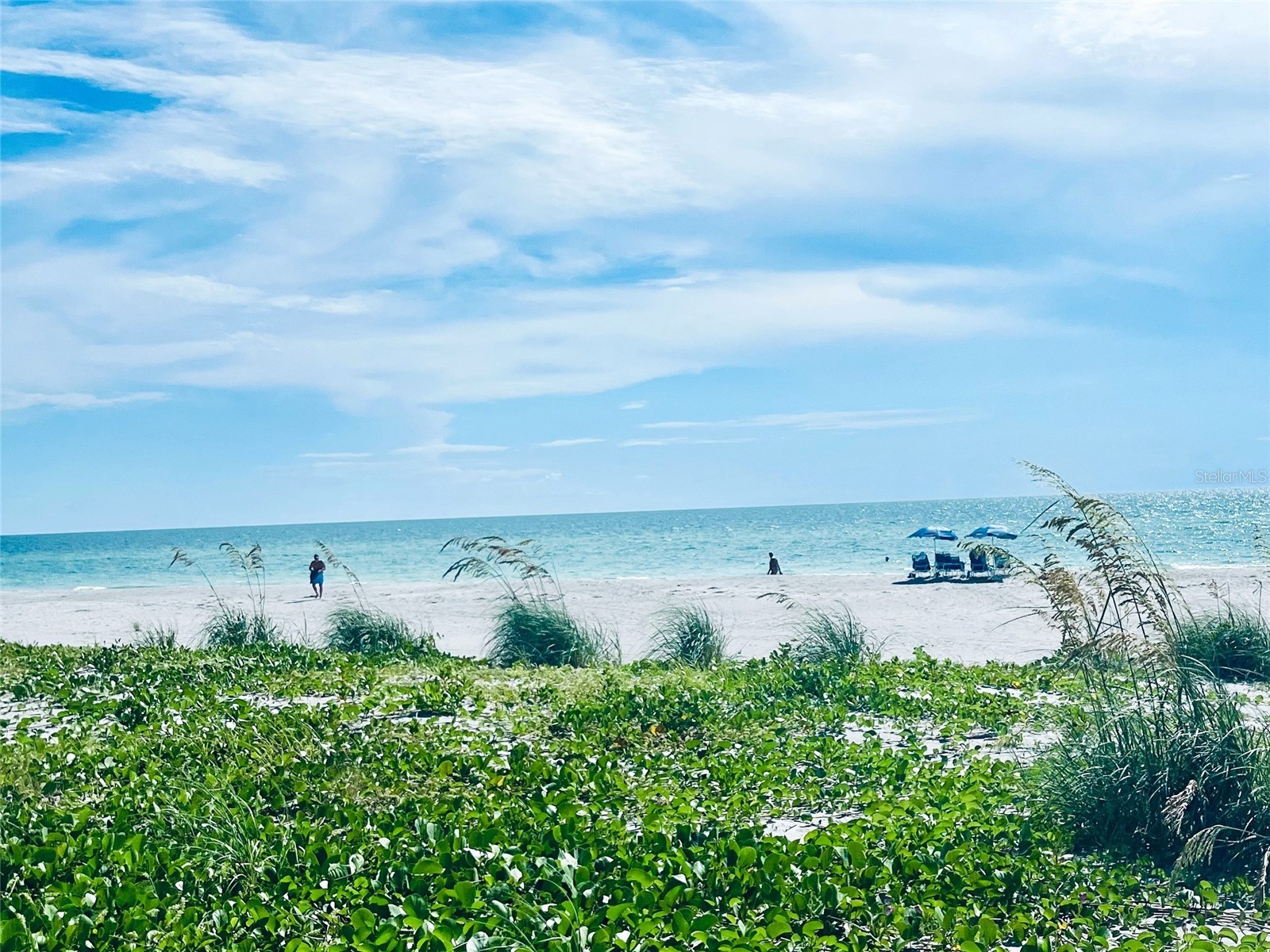 842 Bayport Way Longboat Key FL 34228 A4689796 image47