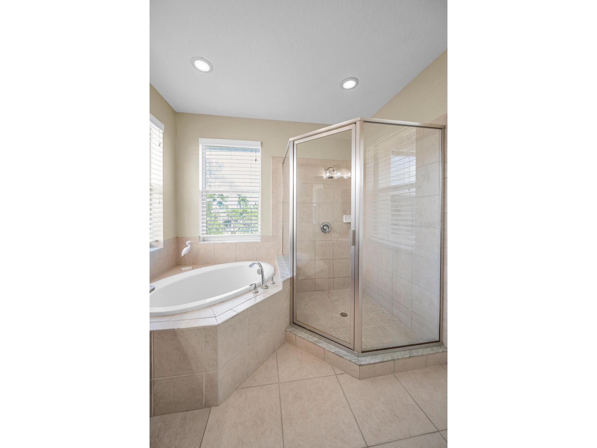 842 Callista Cay Loop Tarpon Springs FL 34689 TB8446984 image22